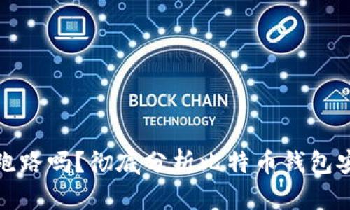 存比特币的钱包会跑路吗？彻底分析比特币钱包安全性的多维度解读