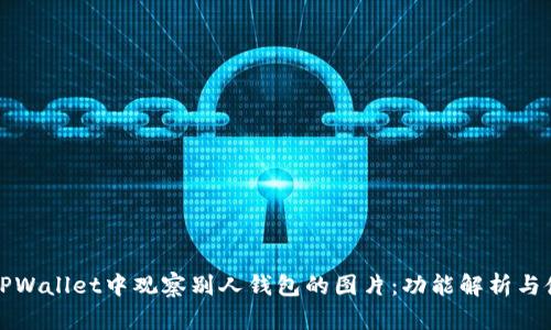 如何在TPWallet中观察别人钱包的图片：功能解析与使用指南