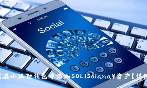  如何在小狐狸钱包中添加SOL（Solana）资产？详细指南