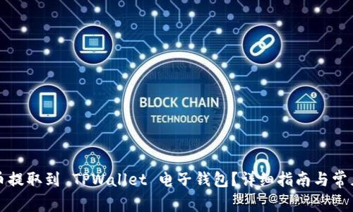 如何将法币提取到 TPWallet 电子钱包？详细指南与常见问题解答