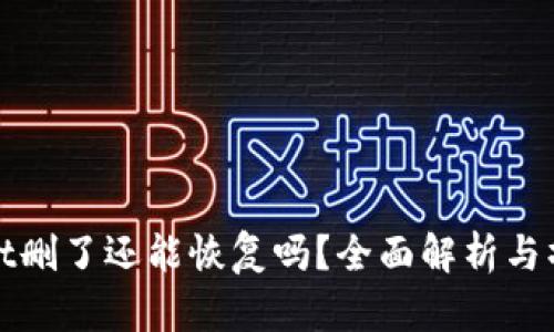 tpwallet删了还能恢复吗？全面解析与操作指南