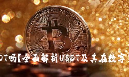 思考的

货币钱包支持USDT吗？全面解析USDT及其在数字货币钱包中的应用