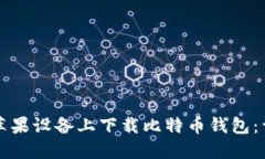 如何在苹果设备上下载比
