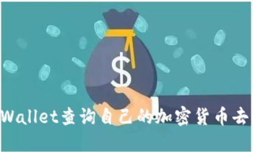 如何使用TPWallet查询自己的加密货币去向：详细指南