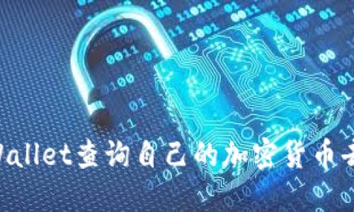如何使用TPWallet查询自己的加密货币去向：详细指南
