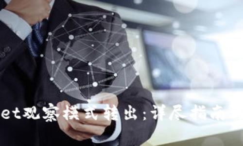 如何将TPWallet观察模式转出：详尽指南与常见问题解答