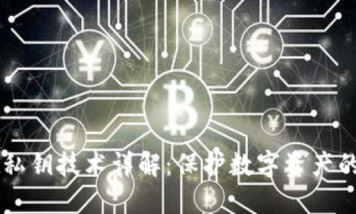 TPWallet私钥技术详解:保护数字资产的安全利器