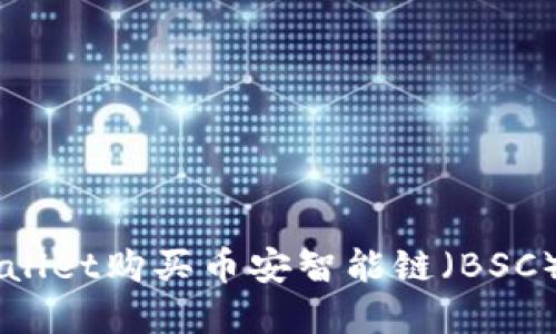 如何通过TPWallet购买币安智能链（BSC）上的数字货币