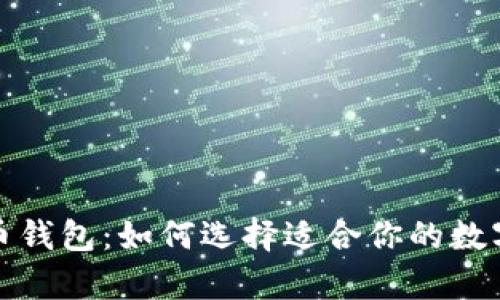 全面解析比特币钱包：如何选择适合你的数字货币储存方案