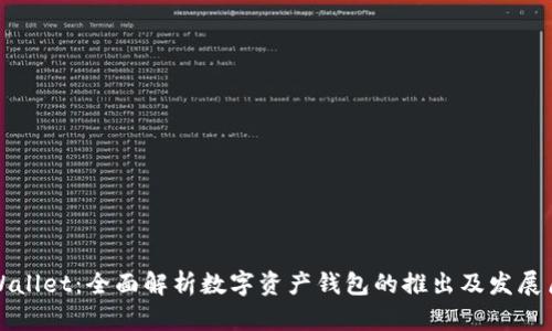TPWallet：全面解析数字资产钱包的推出及发展历程