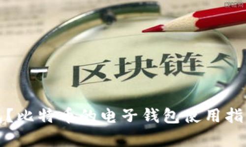 什么是电子钱包？比特币的电子钱包使用指南与安全性分析