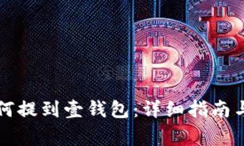 狗狗币如何提到壹钱包：详细指南与注意事项