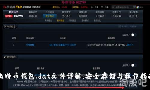 比特币钱包.dat文件详解：安全存储与操作指南
