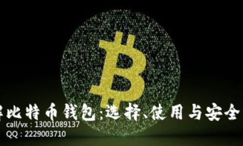 详解比特币钱包：选择、使用与安全指南