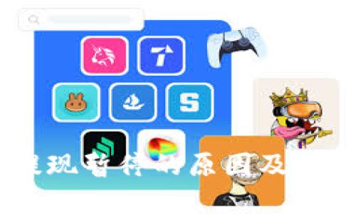 USDT钱包提现暂停的原因及解决方案详解