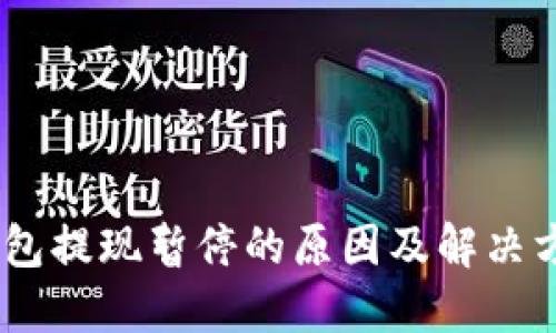 USDT钱包提现暂停的原因及解决方案详解