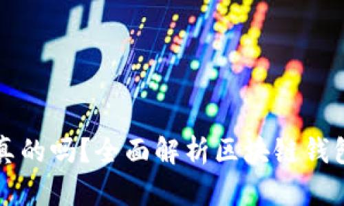 TPWallet上的资产是真的吗？全面解析区块链钱包安全性与资产真实性