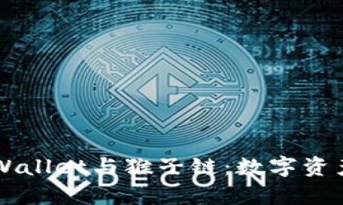 深入解析TPWallet与猴子链：数字资产管理的未来