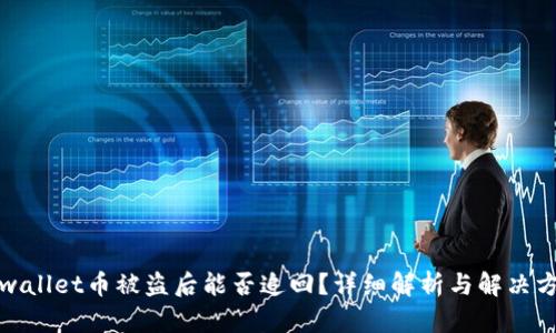 tpwallet币被盗后能否追回？详细解析与解决方案