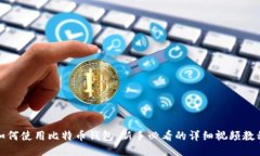 如何使用比特币钱包：新