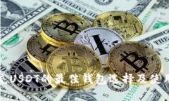 安全充USDT的最佳钱包选择