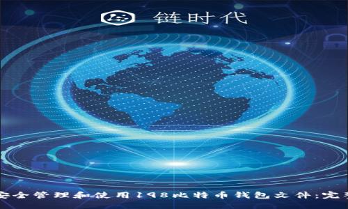 如何安全管理和使用198比特币钱包文件：完整指南