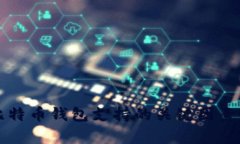 全面解析比特币钱包支持