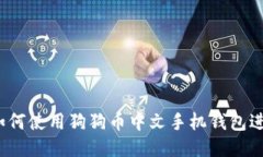 最全指南：如何使用狗狗