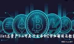 TPWallet总资产3.6万是什么币