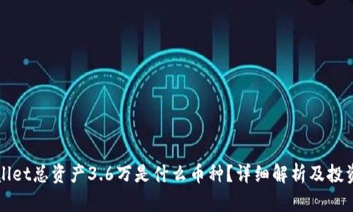 TPWallet总资产3.6万是什么币种？详细解析及投资指南