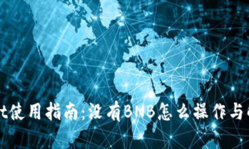 TPWallet使用指南：没有BNB怎么操作与解决方案