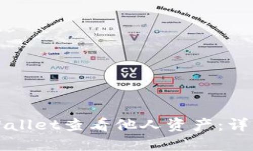 如何使用TPWallet查看他人资产：详细指南与技巧