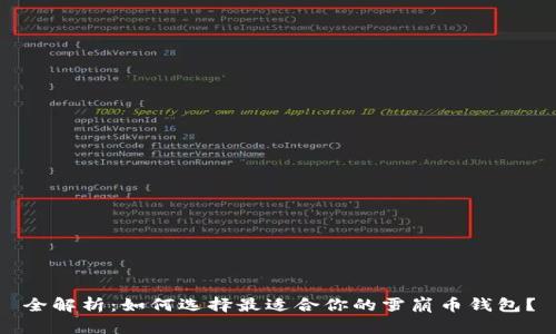 全解析：如何选择最适合你的雪崩币钱包？