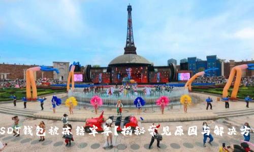 USDT钱包被冻结半年？揭秘常见原因与解决方案