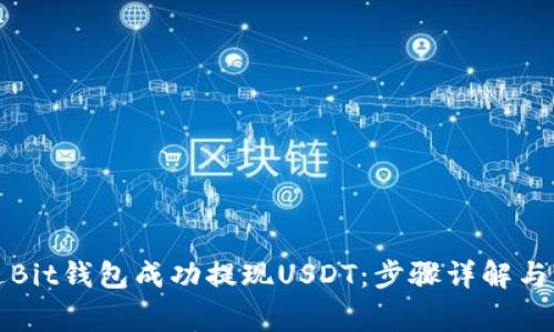 如何通过Bit钱包成功提现USDT：步骤详解与注意事项