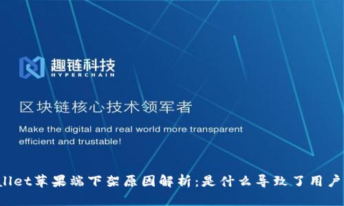 TPWallet苹果端下架原因解析：是什么导致了用户不满?