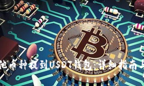 如何将其他币种提到USDT钱包：详细指南与实用技巧