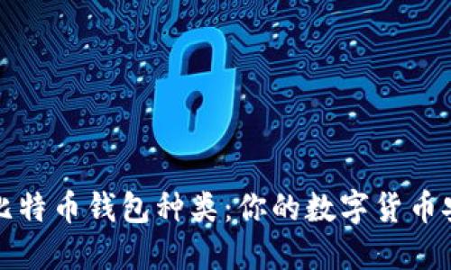 全面了解比特币钱包种类：你的数字货币安全守护者
