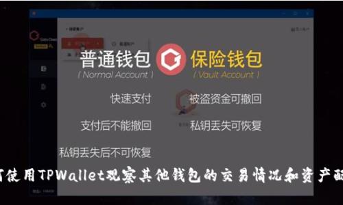 如何使用TPWallet观察其他钱包的交易情况和资产配置?