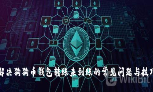 解决狗狗币钱包转账未到账的常见问题与技巧