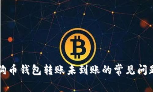 解决狗狗币钱包转账未到账的常见问题与技巧