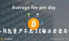 tpwallet导入钱包资产不见了