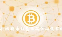 全面解析：比特币钱包正