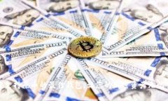 探索支持屎币的最佳钱包