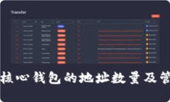 比特币核心钱包的地址数