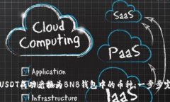 如何将USDT成功兑换为BNB钱