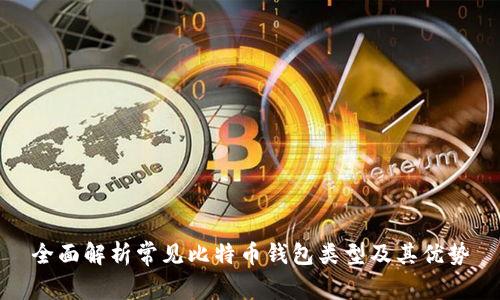 全面解析常见比特币钱包类型及其优势