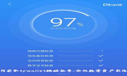 如何获取tpwallet地址靓号：你的数字资产新选择