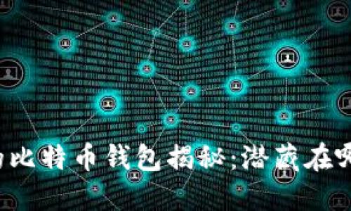 中本聪的比特币钱包揭秘：潜藏在哪些地方？