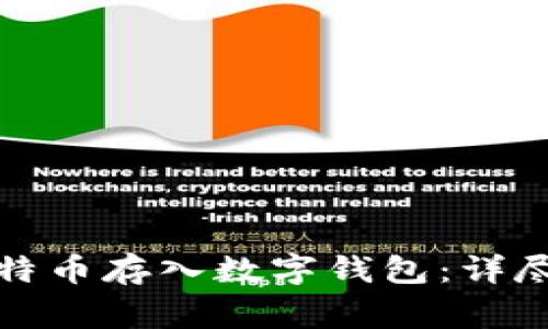 如何安全地将比特币存入数字钱包：详尽指南与注意事项